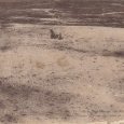 Le "Mort-Homme" en 1916, une explosion vue d'avion.