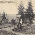 Cimetière militaire de Vaudricourt, PDC. Tombes du 111 ème et 112 ème RI.