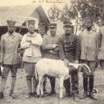 Tirailleurs et mascotte du 42 ème.