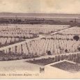 Etaples, cimetière britannique.