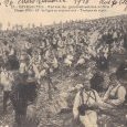 Rivesaltes, classe 1915, manoeuvres du 53ème RI.