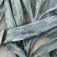 Dédicace de la palme